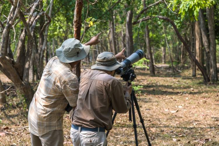 Two people looking for birds on St. Simons Island through a scope