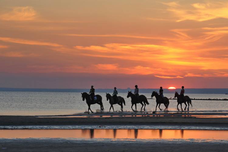 group of people horseback riding at sunset on St Simons Island