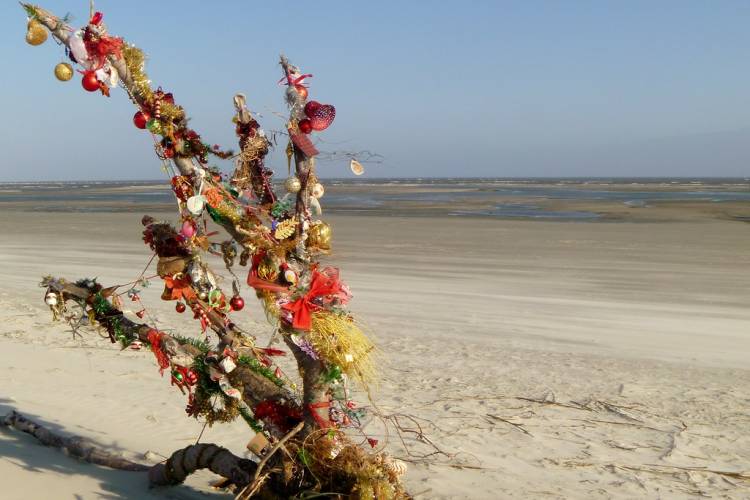 Xmas on St Simons Island