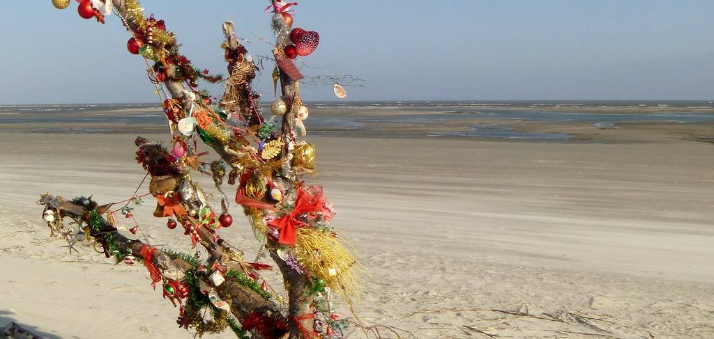 Xmas on St Simons Island